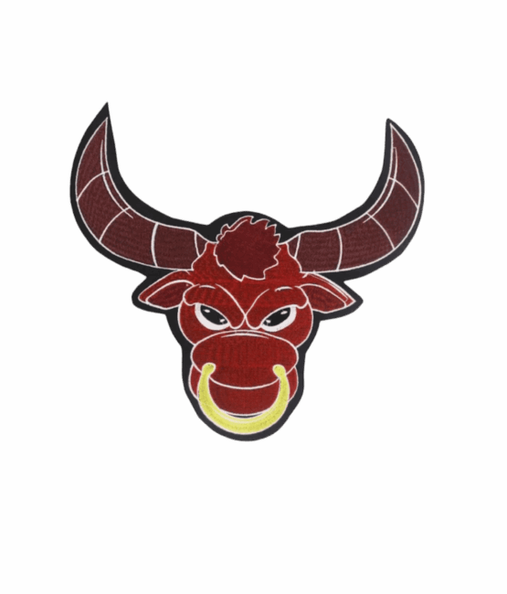 Bull ring iron on embroidery patches