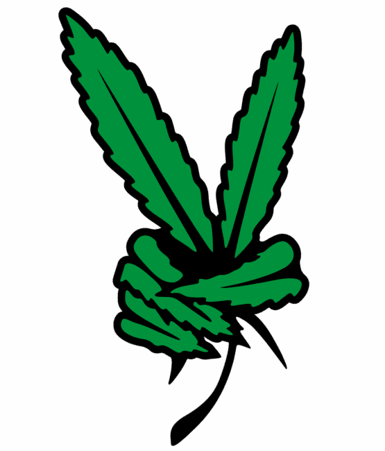 Peace plant DTF iron on heat transfers