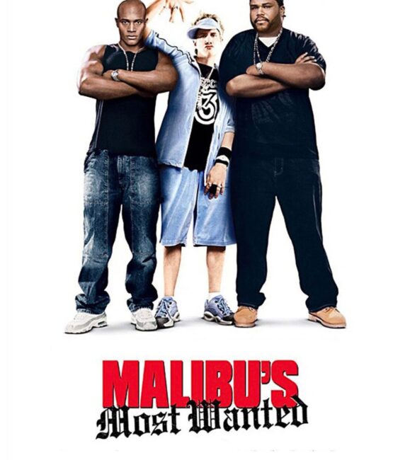 Malibu's most wanted movie iron on heat transfers