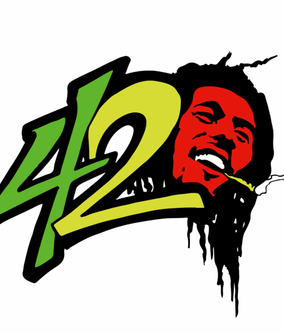 Marley 420 DTF iron on heat transfers