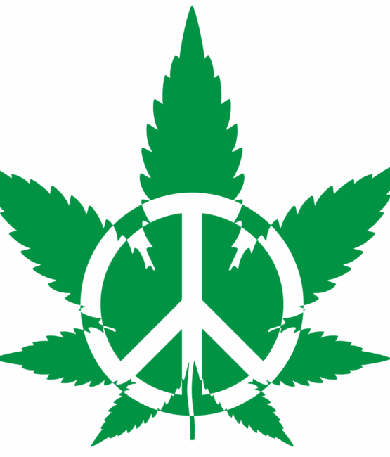 Peace sign plant DTF iron on heat transfers