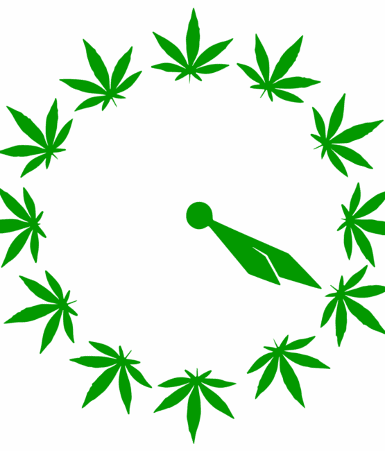 Clock plant DTF iron on heat transfers