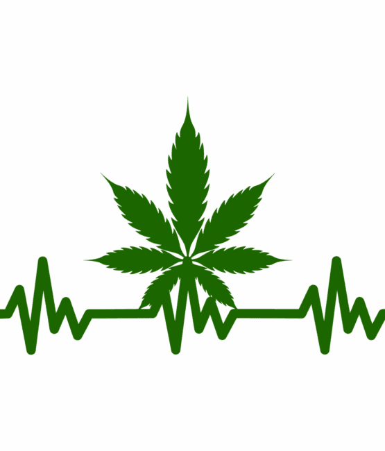 Weed leaf DTF iron on heat transfers