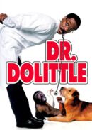 Dr. Do Little movie iron on heat transfers