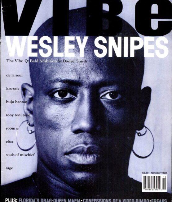 Vibe vintage Wesley snipes Hip Hop Heat Transfers