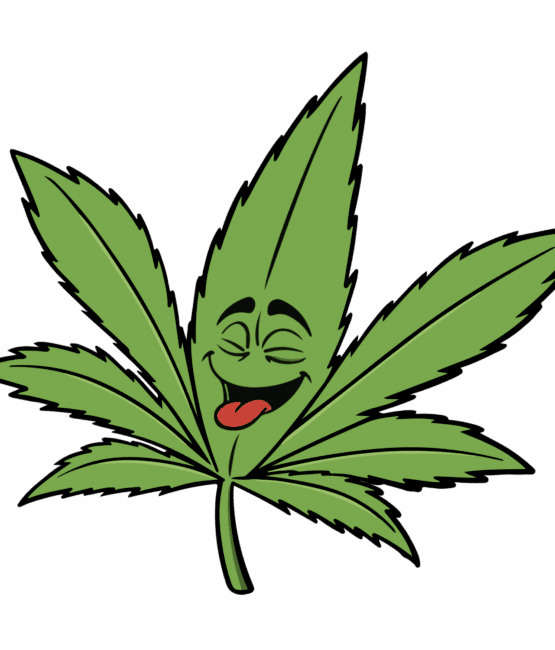 Happy plant DTF iron on heat transfers