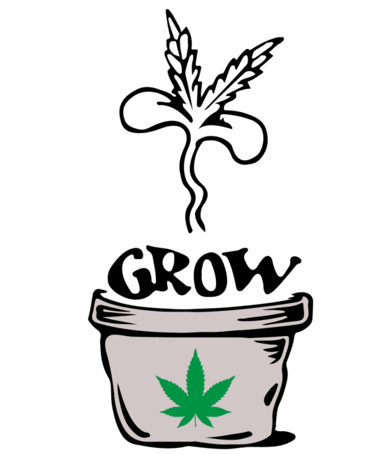 Grow plant DTF iron on heat transfers