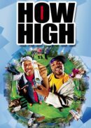 How High movie iron on heat transfers