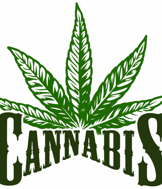 Cannabis plant DTF iron on heat transfers