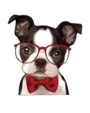 Dog iron on heat transfers