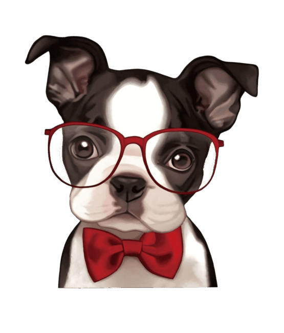 Dog iron on heat transfers