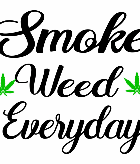 Smoke weed everyday DTF iron on heat transfers