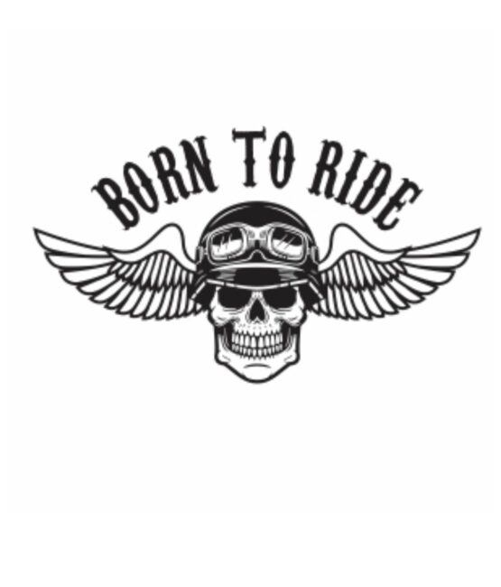 Born to ride wings skull iron on heat transfer