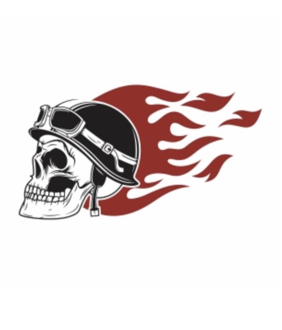 Born to ride flames skull iron on heat transfer