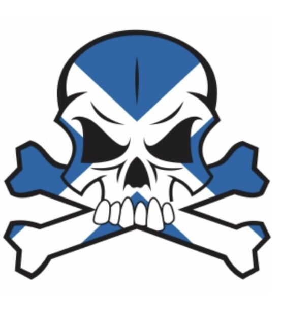 Blue skull iron on heat transfer