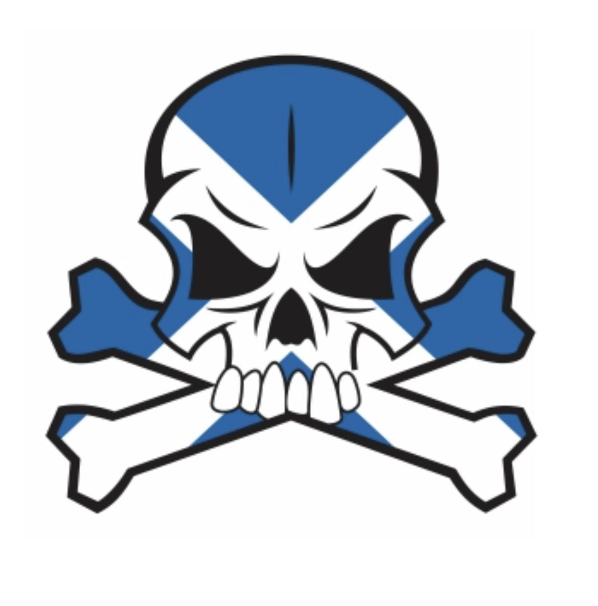 Blue skull iron on heat transfer