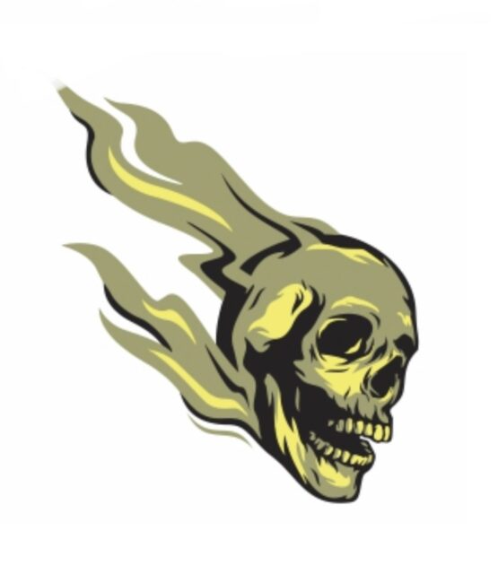 Skull Ghost Rider skull iron on heat transfer