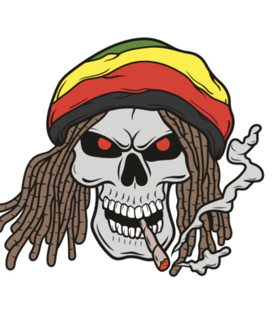 Skull smoke skull iron on heat transfer