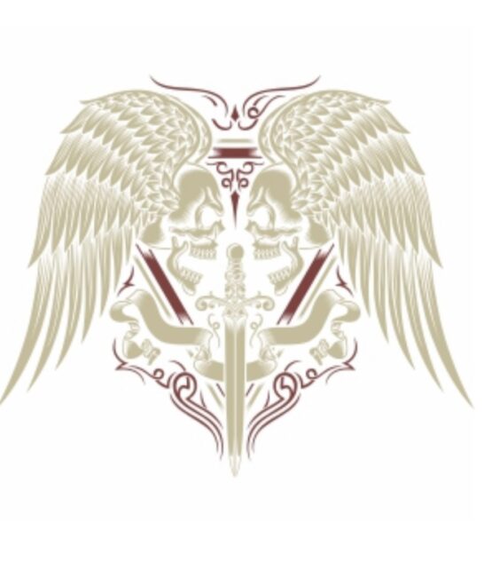 skull wings iron on heat transfer