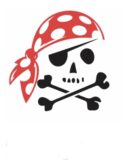 Pirate skull iron on heat transfer