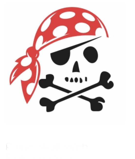 Pirate skull iron on heat transfer