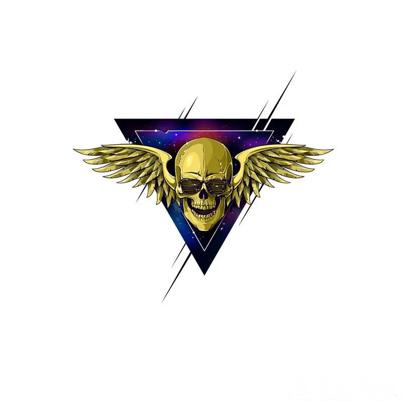 Wing skull iron on heat transfers