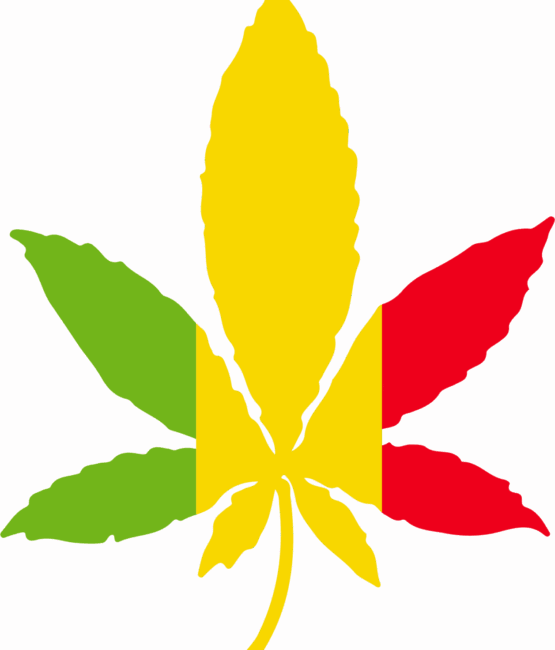 Cannabis plant iron on heat transfers