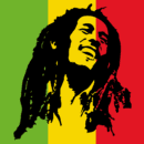 Bob Marley iron on heat transfers