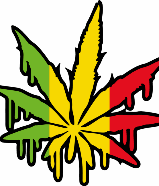 Green gold red Cannabis plant iron on heat transfers