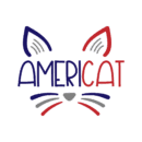 Americat patriotic heat transfers