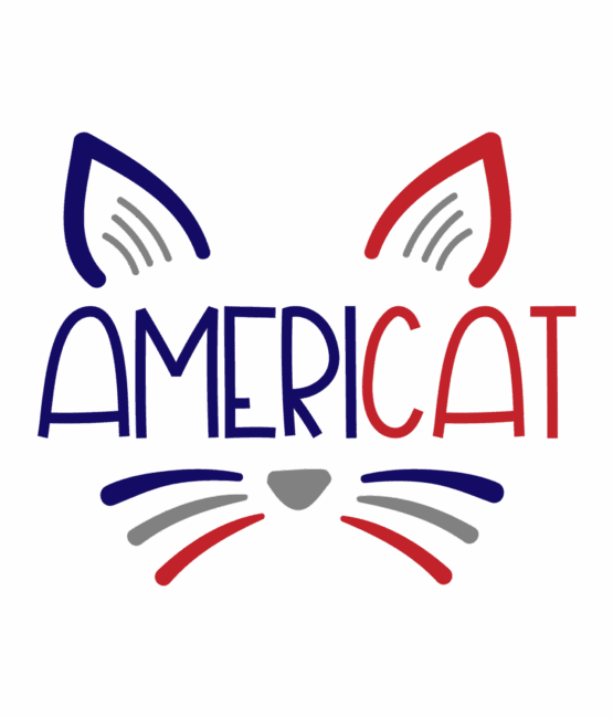 Americat patriotic heat transfers
