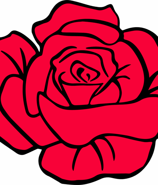 Red rose iron on heat transfers