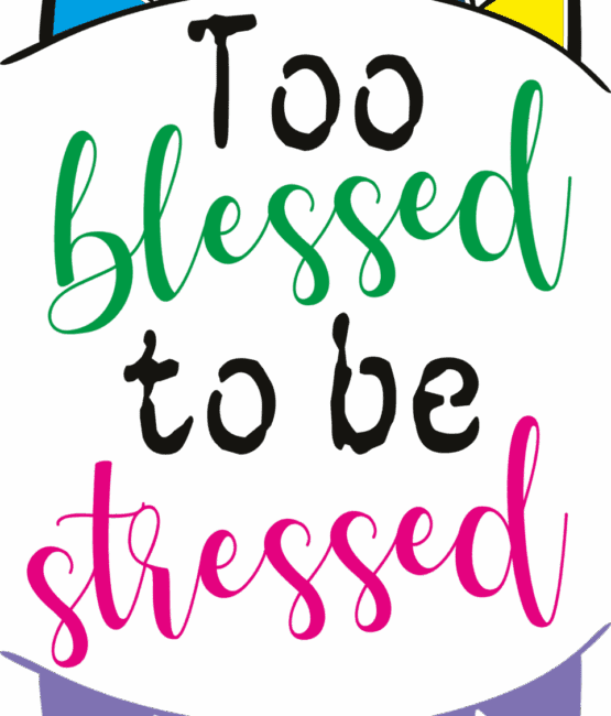 Too blessed to be stressed heat transfers