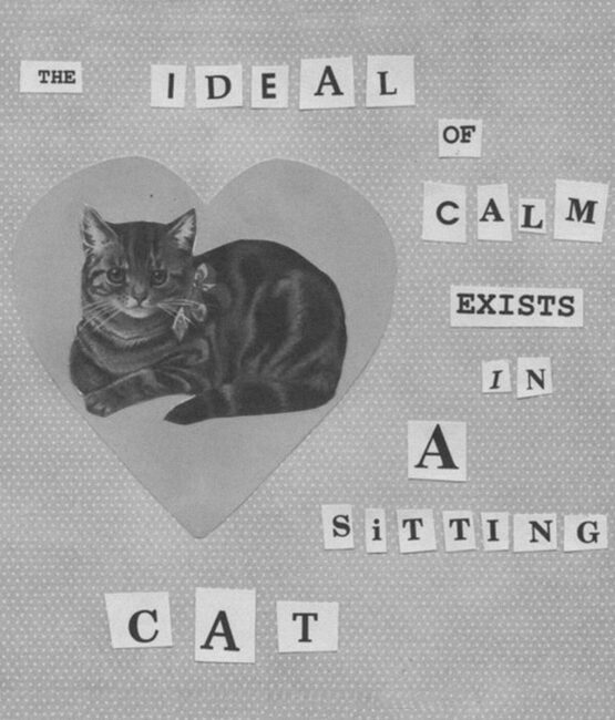 Fashion Black and white heat transfers 136