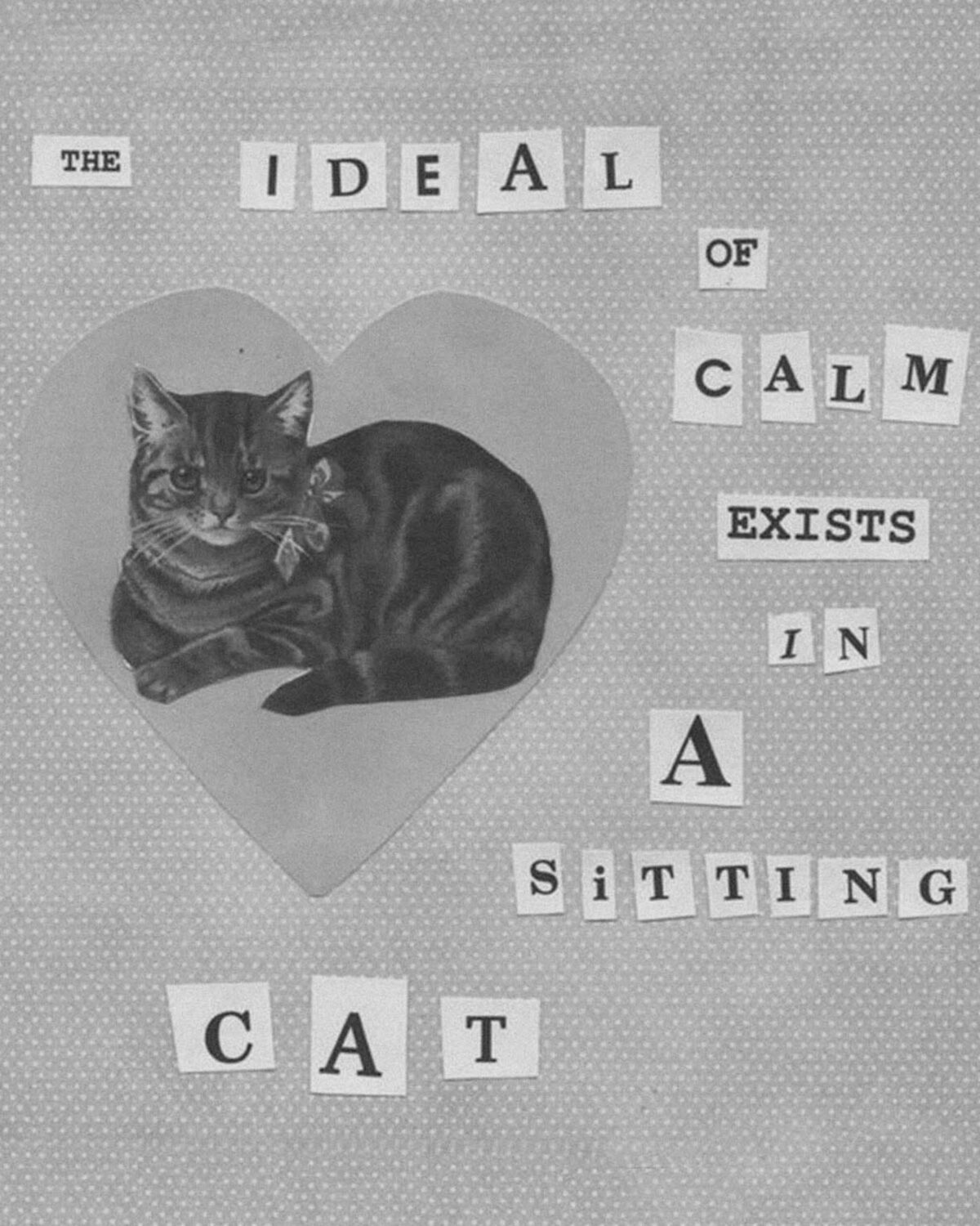 Fashion Black and white heat transfers 136
