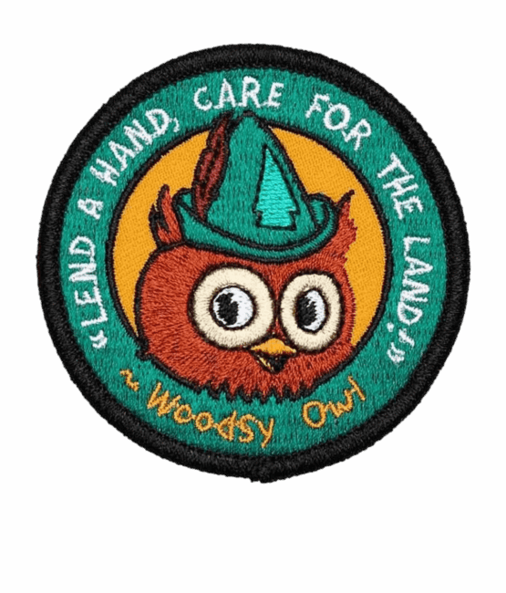 Woodsy owl lend a hand iron on embroidery patches