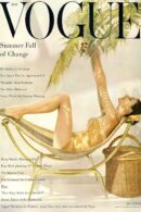 Vogue design 79 iron on heat transfers