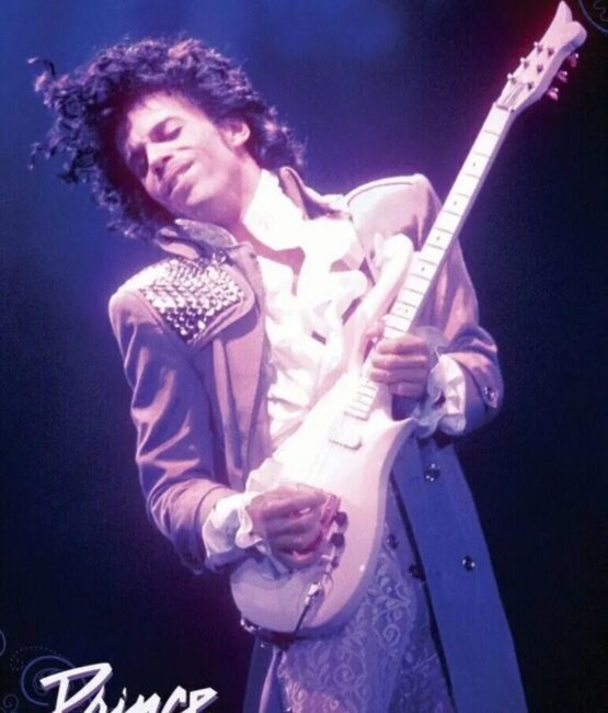 Prince iron on heat Transfers 1