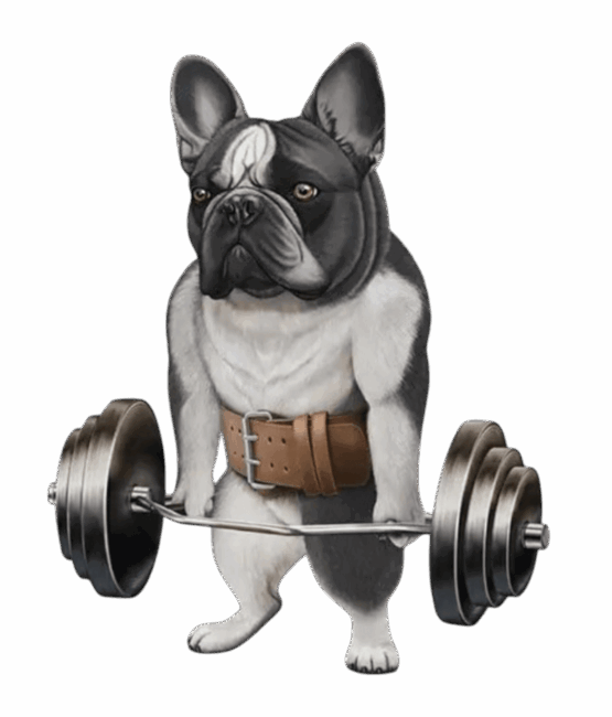 Dog lift weights iron on Heat transfers