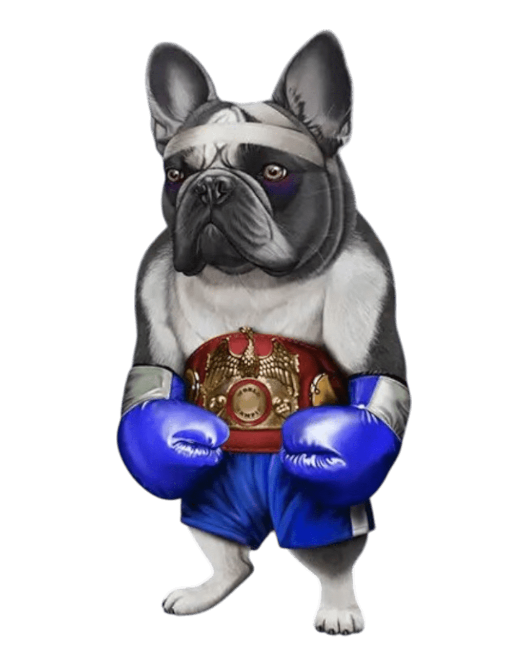 Dog blue glove iron on Heat transfers