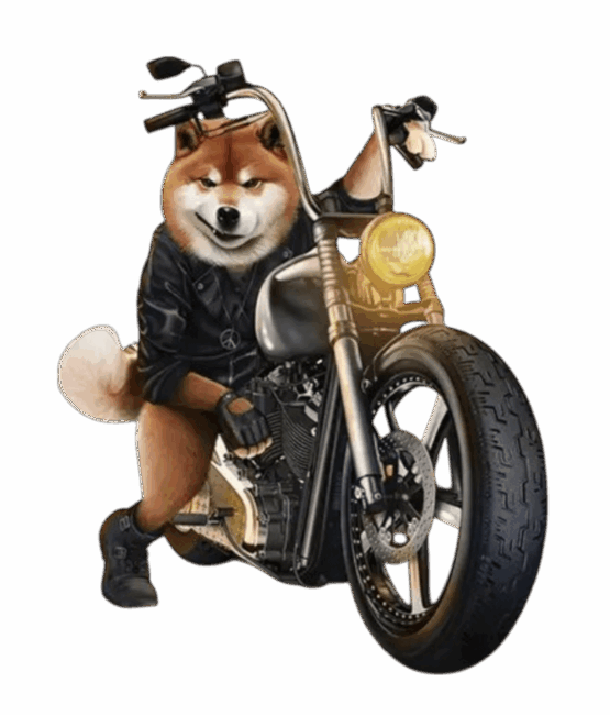 Dog brown Motorcycle iron on Heat transfers
