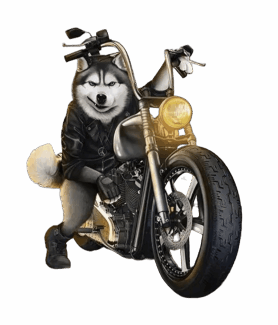 Dog gray motorcycle iron on Heat transfers