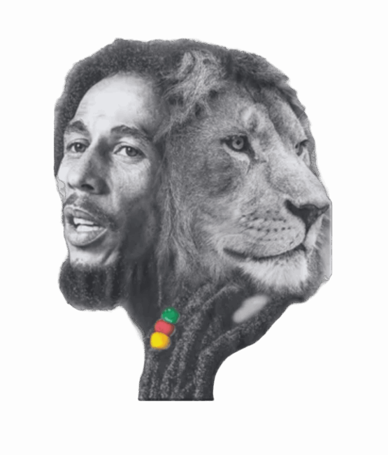 Lion Bob Marley heat transfers