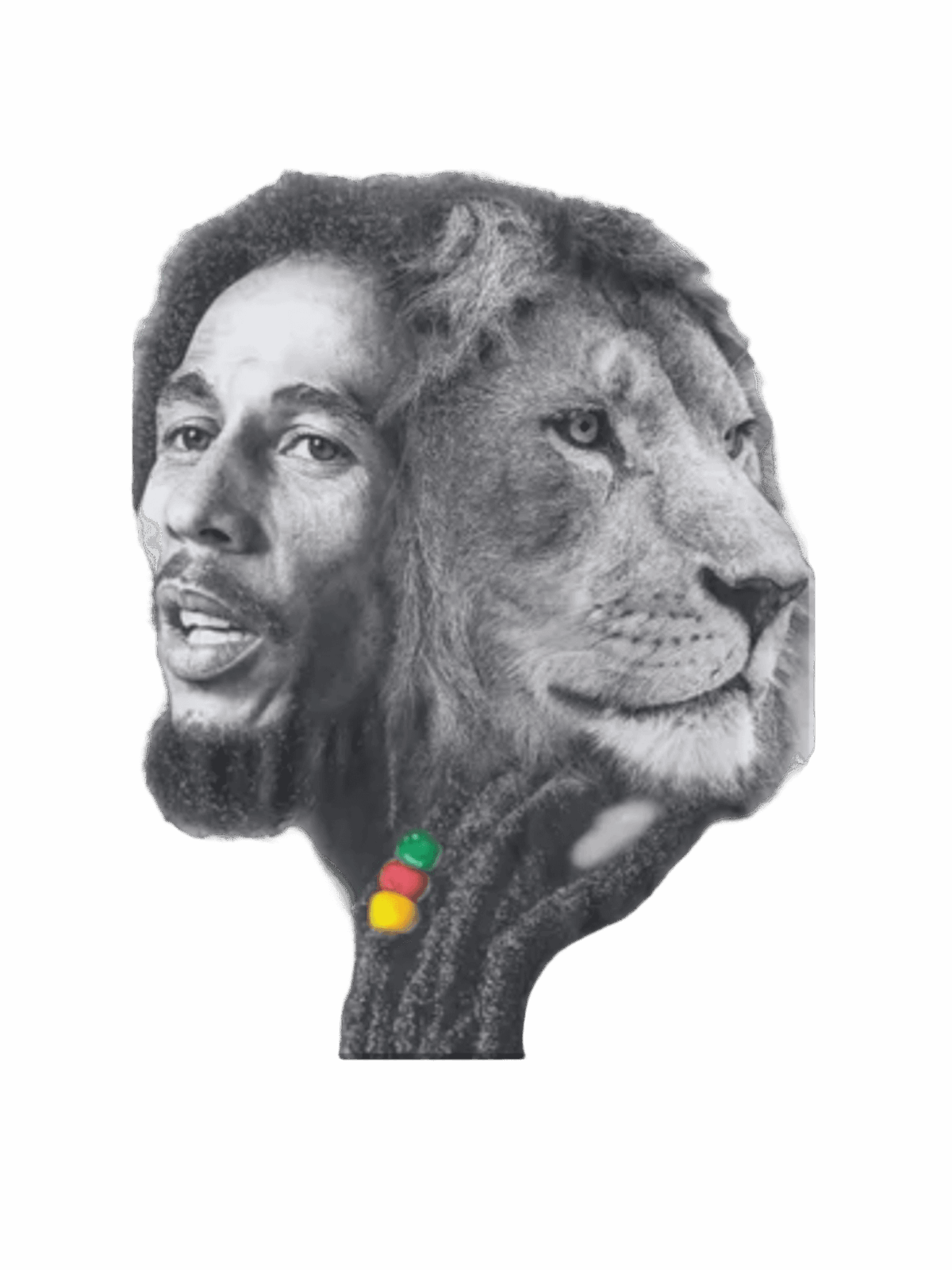 Lion Bob Marley heat transfers