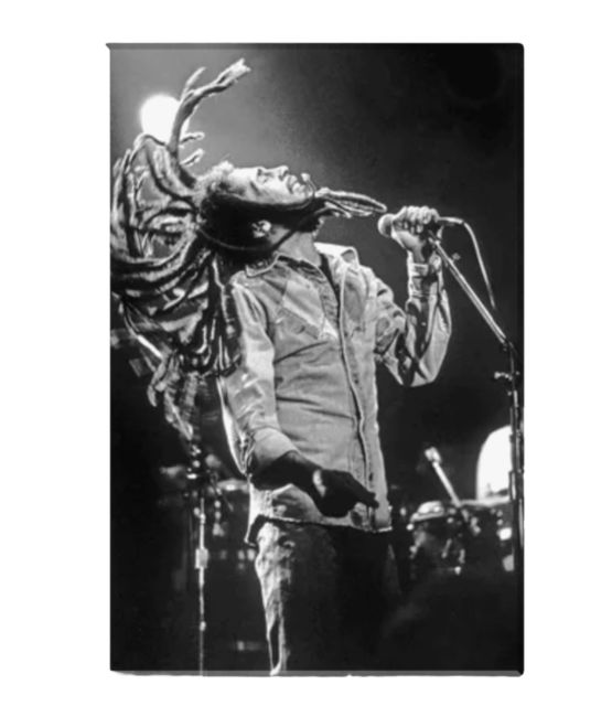 Live Bob Marley heat transfers