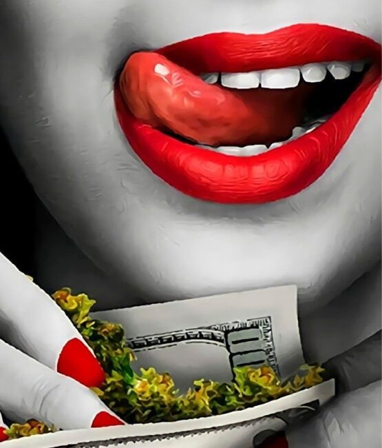 Red Lip iron on Heat transfers