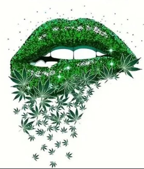 Lip weed heat transfers