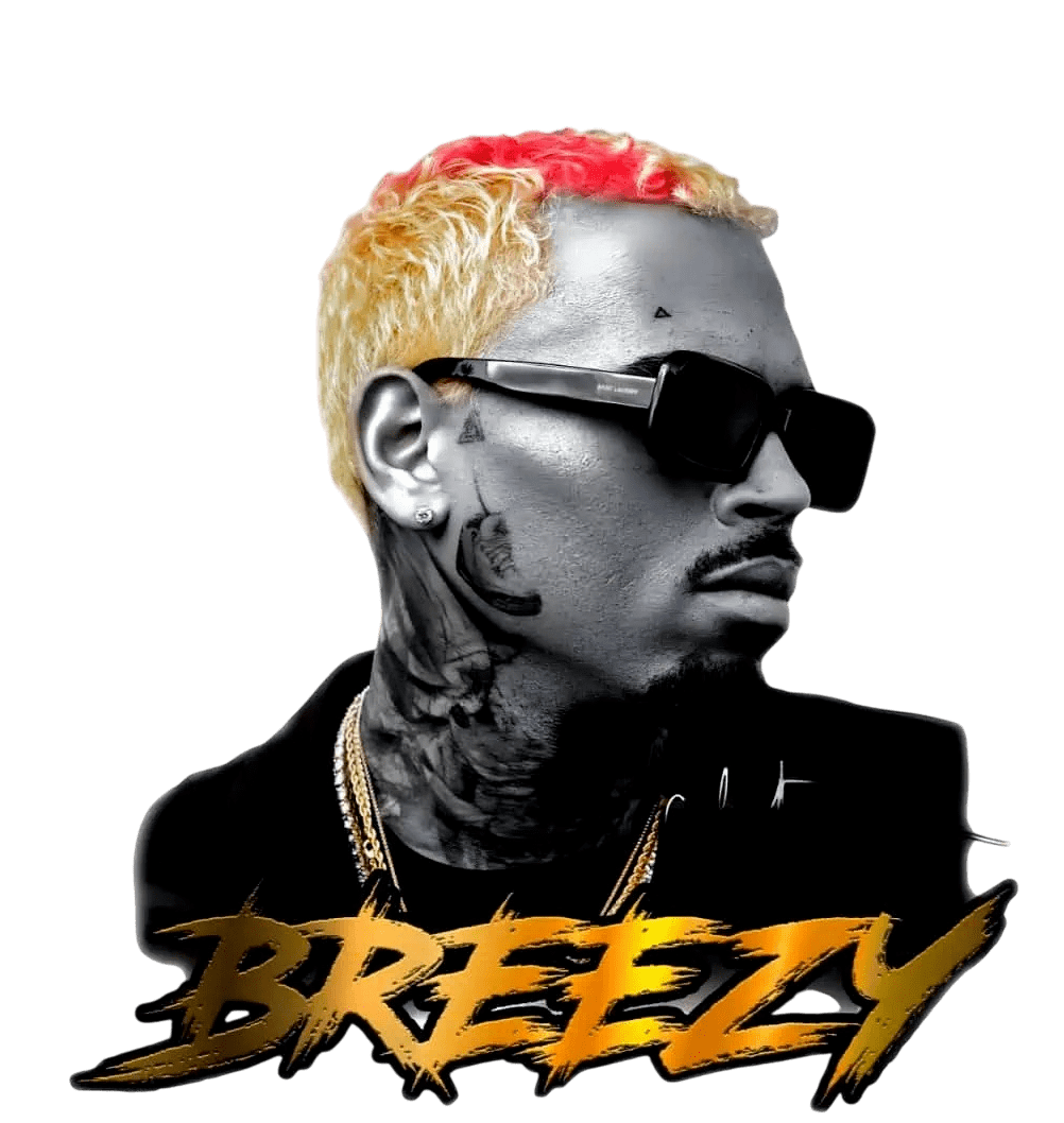 Chris Brown heat transfers 6