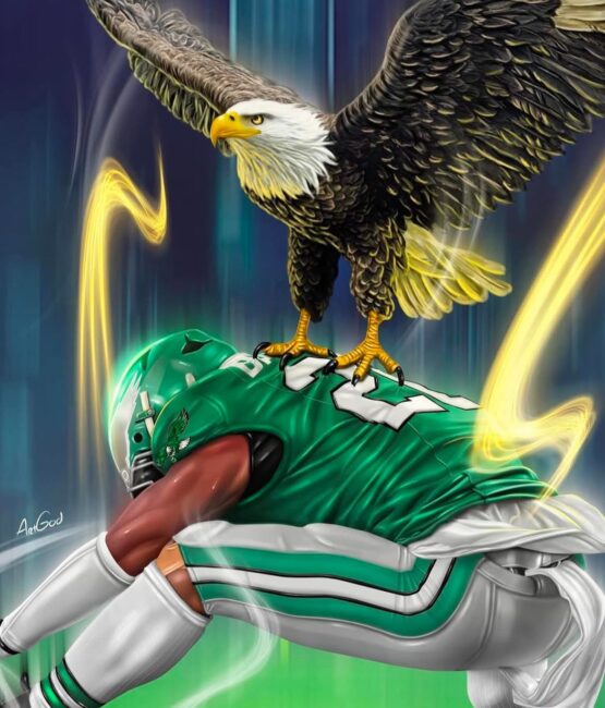 Eagles sports heat transfers 68
