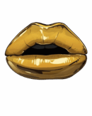 lip iron on heat transfer